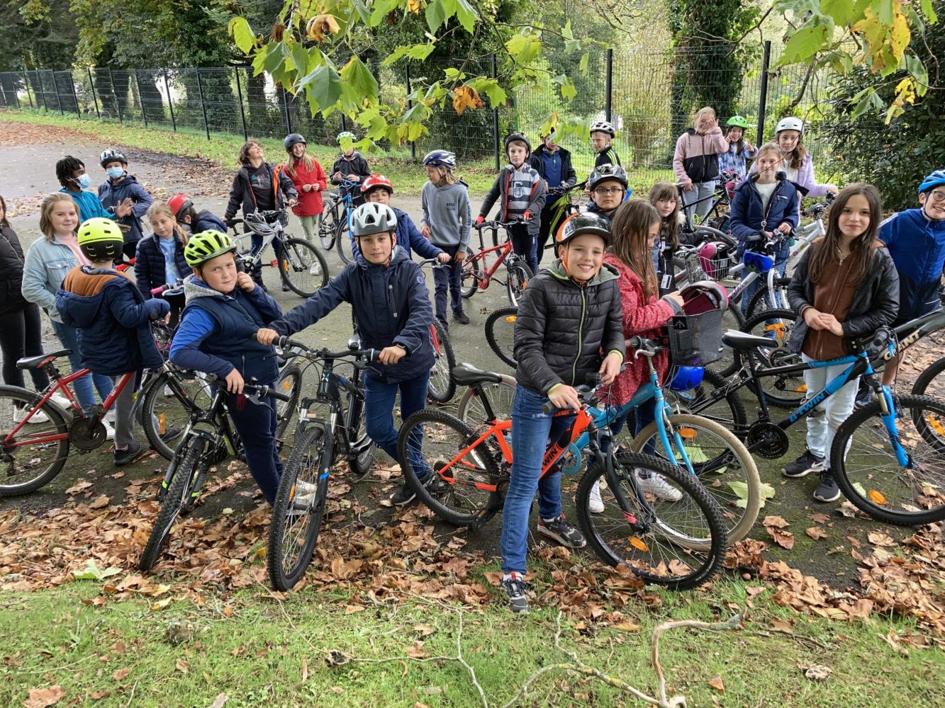 Permis vélo
